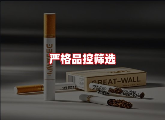 专业团队